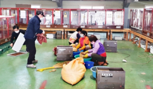 영천시 과수꽃가루은행, 과수농가 결실 안정에 큰 힘!