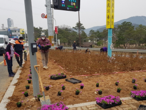 경주시 안강읍 새마을부녀회, 새봄맞이 아름다운 안강 만들기