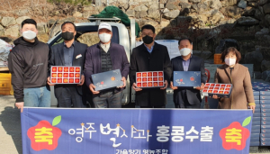 영주시, 별사과 홍콩 시범수출…‘첫 해외시장 진출’