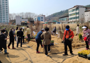 문경시, 코로나19 극복을 위한 ˝희망나무 나누어주기˝행사 실시