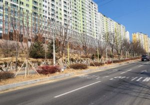 경산시, 특색 가로수길 조성