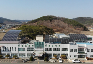 고령군, 꿀벌전염병 등 피해방지를 위한 가축예방약품 공급