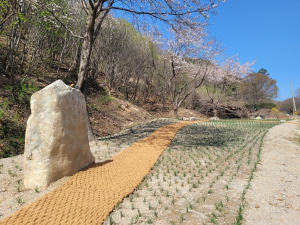 성주군 금수면, 사시사철 푸른 공원 조성