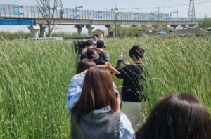 대구시, 동물과 함께 메밀밭으로 치유하러 오세요!