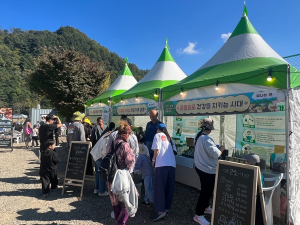 It‵s 성주, `나랑놀장, 별꽃장터` 개장
