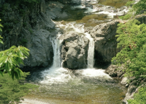 포항 보경사, 5월 4일부터  문화재 관람료 전면 폐지