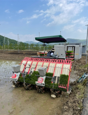 경산시 자인면 신호철 농가, 첫 모내기 실시