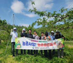 영천시 교통행정과, 함께해요 농촌일손돕기!