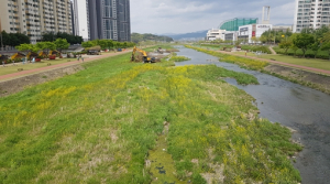 경산시 남천 하상내 퇴적토 정비 완료