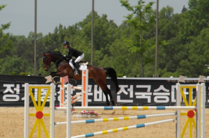 ‘승마의 요람, 승마의 중심’전국 승마인들 경북으로!