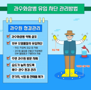 김천시, 화상병 발생 차단에 총력