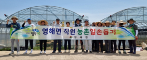 영덕군 영해면, 봄 농번기철 농촌일손돕기에 ‘구슬땀’