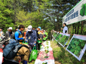 영양군 청정 산나물 전국으로 뻗어가다