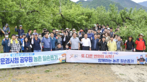 문경시 공무원, 농촌 일손 돕기 '구슬땀'