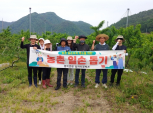 영덕군 일자리경제과 직원들, 농번기 농촌 일손돕기 나서