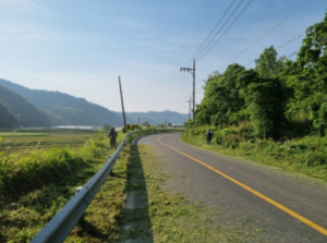 성주군 벽진면, 연도변 풀베기로 쾌적한 도로환경 조성