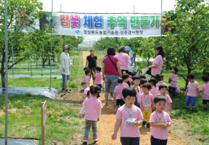 농업기술원, 상주감연구소 개방해 감꽃 체험행사