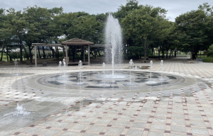 경북도, 하절기 바닥분수 등 물놀이형 수경시설 관리실태 점검 실시