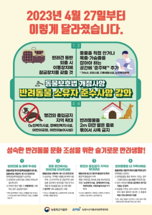 대구시 개물림 사고 예방, 반려동물 돌봄 제공을 위한 소유자 의무 강화