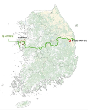 경북도, 한반도 횡단 숲길‘동서트레일’ 울진 시범구간 개통!