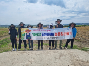 영천시 기업유치과, 농촌 일손돕기 적극 앞장서