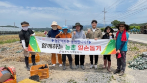 영천시 지역활력과, 마늘수확철 2차 농촌일손돕기에 나서