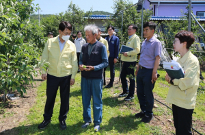 박남서 영주시장, 우박피해 현장 방문 ‘신속한 정밀조사·지원대책 지시’