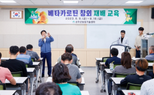 성주군,  맛과 영양 소비자의 욕구 사로잡는 베타카로틴 참외