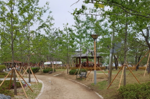 포항시, 탄소중립 녹색도시 조성으로 기후변화 대응력 높인다!