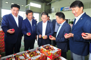 2023년 군위자두 첫 출하, 군위 농산물 공판장 개장