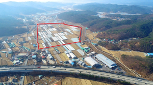 대구 농수산물도매시장 이전, 순풍에 닻 올렸다!