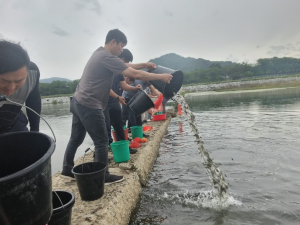 경주시, 형산강에 동남참게·은어·잉어 8만 마리 방류