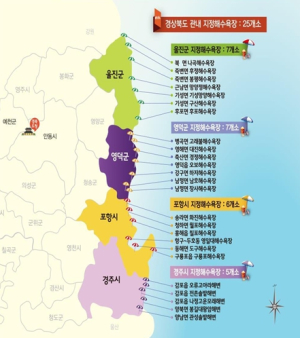 경북도, 동해안 백사장 토양오염도 검사 기준치 모두 ‘만족’