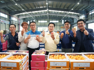 전국 최대 과일 주산지 영천, 여름 과일 본격 출하