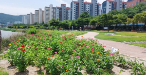 경산시, 싱그러움 가득한 『어울림 여름 꽃화단』재탄생