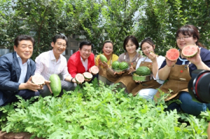 대구 중구 동인세대공감마당, 도심서 애플수박 수확 ‘마을주민들과 함께 여름나기’