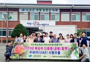 경북도 육성 복숭아 신품종 ‘금황, 홍백’두바이 첫 선!