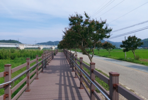 한울본부, 기성면 백일홍거리 안전데크 설치 지원