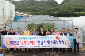 포항시 죽장 상옥 토마토 일본 착륙! 세계인의 입맛 사로잡는다