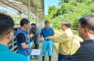 영주시, 호우피해 축산농가에 동물의료지원단 ‘급파’