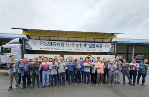 안동 단호박 200톤 일본으로 수출