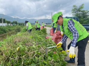 상주시 공성면, 자연보호협의회 가시박 제거 활동 실시
