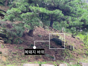 앗! 고령에도 이런 곳이......`38石 거북이 바위동산`