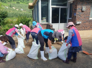 한국생활개선 경북연합회, 집중호우 피해농가 복구지원 동참