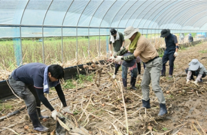 경산시, 4일간 예천군서 수해복구 봉사활동 펼쳐