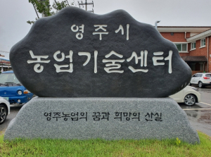 영주시, 원예작물 실증시험포 현장 평가회 개최