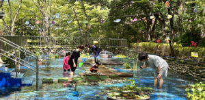 ˝자연에서 즐기는 생태체험! 비슬산으로 오세요~” 달성군시설관리공단, 비슬산 민물고기 자연생태 체험학습장 조성