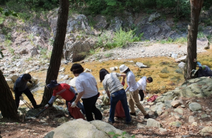 영양군, 하계휴가철 하천정화활동 실시