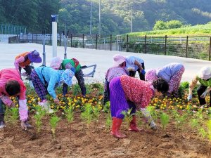 청송군, 다양한 건강사업 군민이 직접 제안
