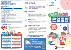 대구시 `농업인 안전 365` 물, 그늘, 휴식으로 온열질환 예방해요!